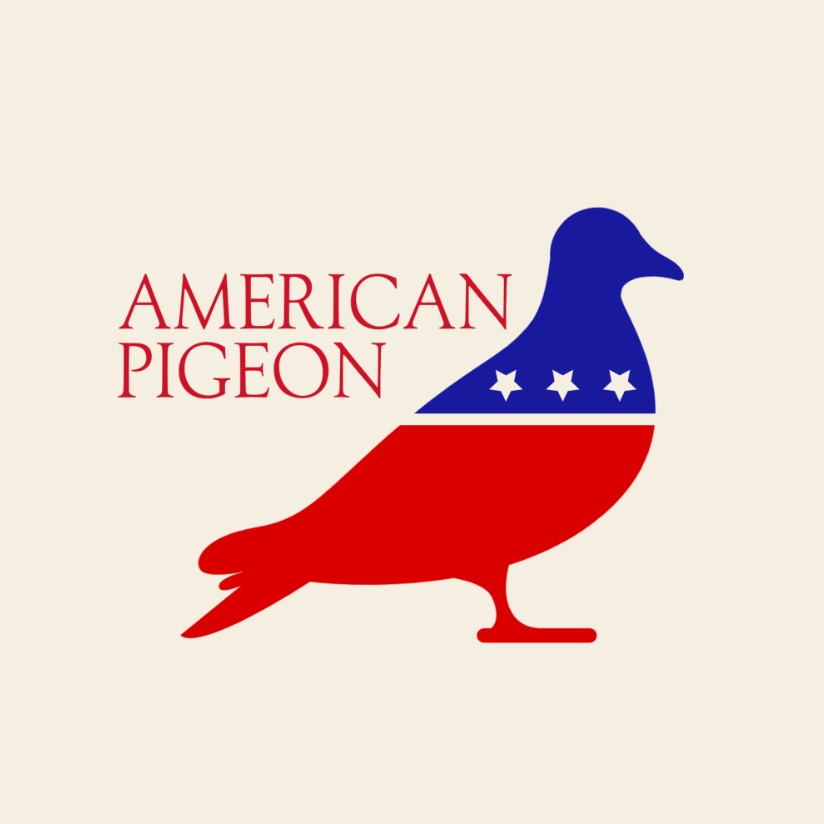 American Pigeon